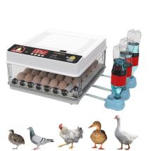 Incubadora de 36 huevos con cajón, Mini incubadora de huevos con reposición automática de cama de agua iónica y control de temperatura