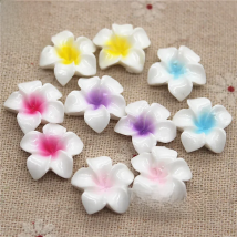 20pcs 16mm Mixed Color flower Plumeria rubra resin flatback cabochon DIY jewelry/phone decoration
