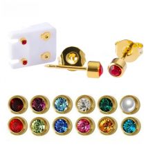 2pcs Birthstone Stud Earring Stainless Steel 24K Plating 4MM CZ Ear Piercing Sterilized Packaged for Women Body Jewelry Gift 20G