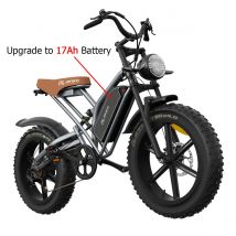 JANSNO X50 Bici Elettrica Per Adulti 750/250W 48V17AH Batteria Rimovibile Fat Tire 20 "Off Road Mountain Ebike 25MPH Bicicletta Elettrica