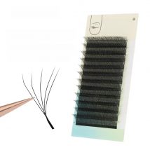 ANNAFRIS 4D 5D W Shape Eyelash Extension Handmade 12line/Tray Premade Volume Fans Clover W Lashes