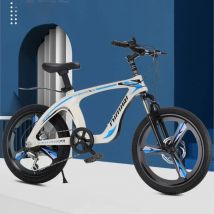 TULX Motion Uses Magnesium Alloy Material For Variable Speed Disc Brakes Suitable For Children And Be Used As A Mountain Bikes