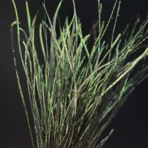 CONTEMPLATOR 1bag Peacock Herl fly tying feathers for nymphs/wet lure 10-18cm olive green peacock wire dubbing artificial lures