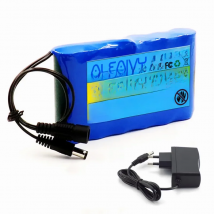 NEW Portable Super 12V 30000mah Battery Rechargeable Lithium Ion Battery Pack Capacity DC 12.6v 20Ah CCTV Cam Monitor + Charger