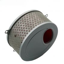 Motorcycle Air Filter For Daelim VL125 (Daystar 125) 17213-BA1-0000