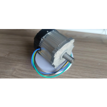 40V 1500W 3600RPM BLDC SPM motor with Hall and Temperature sensor for Lawn mower