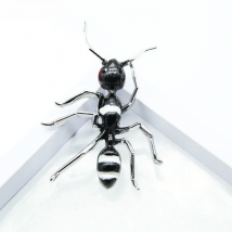 Black Ant Enamel Brooches Women Men Alloy Big Insect Banquet Party Brooch Pins Western Accessories