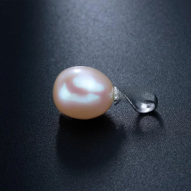 HENGSHENG HOT-SALE Natural Freshwater Pearls Pendant S925 Silver Pendent Accessories Minimalist Design For Women Flash Sale!