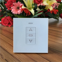 24V DC Motor Switch Panel AC to DC Transformer Rain Sensor Port Linear Actuator Pergola Switch Optional Tuya Smart Life Remote