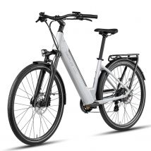 DERUIZ Elektro Fahrrad Quartz Pedelec 28 Zoll Elektro Fahrrad 644 wh E-City Bike mit Abnehmbarer 48V Batterie,Drehmomentsensor
