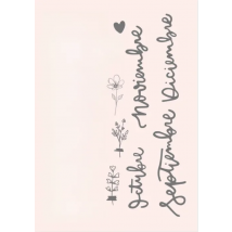 Spanish stamp Clear Stamp for Scrapbooking Transparent Silicone Rubber DIY Photo Album Decor  628