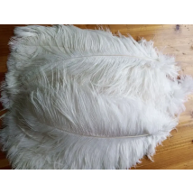 wholesale Quality 50pcs perfect Leniency Male white natural  ostrich feather 12-14inch/30-35cm decorative diy