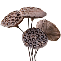 55cm 2PCS Artificial Natural Lotus Flowers Faux Lotus With Seed Fake Flower Head Branch For Home Party Office Wedding Decoration