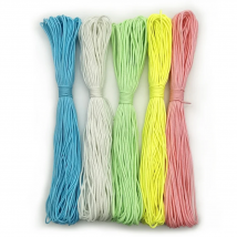 100 Meters 2mm Luminous Paracord Solid Parachute Cord Lanyard Rope One Strand Climbing Camping Survival Equipment Paracord