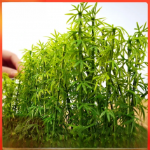 Bamboo Model,landscape Model Train Railway Layout Scenery Scale Model Building Materials  Miniature Dioramas Display Military
