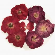 12PCS/4~7CM Head,Real Natural Pressed Dried Roses Flower Heads,Dry Press Flowers DIY For Epoxy Resin Jewelry Making Accessories