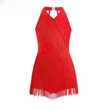 Kids Girls Latin Dance Dress Fringe Tassel Latin Dance Leotard Costume Ballroom Sumba Cha-cha Tango Stage Performance Dancewear