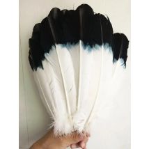 New Wholesale 10 pcs beautiful dyed black and white feather Turkey feathers 25 to 30 cm feather clothing/headwear decoration