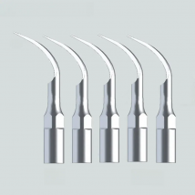 5 piece P1 Ultrasonic Dental Scaler Tips With EMS/ WOODPECKER Compatible Perfect Tooth Whitening Dental Tools
