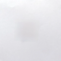 10pcs Good Quality Dental Spindle Size 13.5mm PB