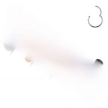 Hinged Nose Ring Hoop Septum Hoop  Ring Tragus Rook Ring Piercing Jewelry Lip Labret Ring Clicker Cartilage Earrings Women Gift