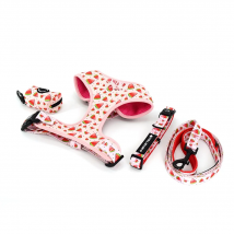 Collarl Adjustable Pet Dog Collarlogo Durable Soft Cute Creative Watermelon Design Leash Neoprene Harness Poop Bag Dispenser