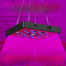 Indoor Grow Light LED 220V Bulb Plant Lamp Full Spectrum Phyto Lamp Waterproof LED Greenhouse Hydroponics Phytolamp 2000W 3000W