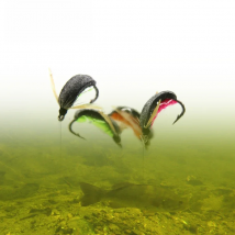 Bimoo 6pcs Carp Fishing Zig Bug Fly Boatman Carp Fishing Pop Up Insect Mimic Artificial Bait for Hair Rig Helicoper Combi Rigs