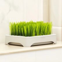 Hydroponic Growth System Pet Cat Grass Nursery Pot Growth Planting Assistant  Reusable Multifunctional Gardening Supplies