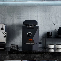 New Design Auto Coffee Roasting Machine Household Ethiopian Coffee Roasters 500g Home Drum Rotating Coffee Bean Roaster