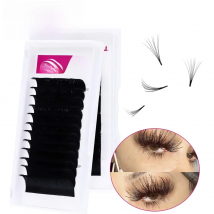 Fadvan Easy Fanning Eyelash Faux Mink Eyelashes Extension for Professional Eye Lash Building Blooming 2d/4d/6d Mix Volume Lashes