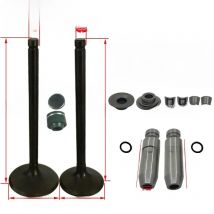 For Qingqi  QM200GY GS200 GTX200 GS199 200cc Motorcycle Engine Valve Intake Exhaust Stem Valve valve pipe Spare Parts