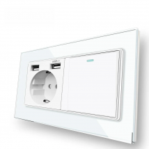 Delviz Wall Dual USB Socket, 1 Gang 2Way / 1Way push button Switch,White Crystal Glass Panel, EU Standard 16A Power Light Switch