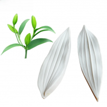 2pcs Lar Lily Leaf Veiners Silicone Molds Fondant Sugarcraft Gumpaste Clay Water Paper Cake Decorating Tools M2120