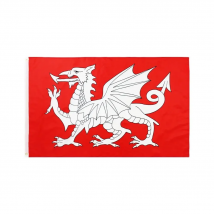 90x150CM White Dragon of England Flag