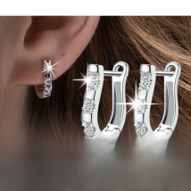Genuine 925 Sterling Silver Pendientes Earrings Harp Zircon Studs HorseShoe Earrings For Women Wedding Gift