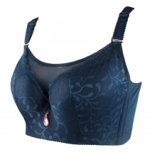 48G 48F 48E 46D 46F 46E 44G 44F 44E 42G 42F 42E 40G 40F 40E 38D 38F 38E cup bra large chest big bust great lace sexy bra VS 3311