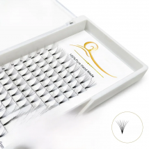 Quewel Premade Volume Fans Lash Russian Volume Professional Eyelash Extensions C&D Curl Eyelash Extension Faux Mink 3D/4D/5D/6D