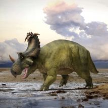 PNSO Prehistoric Dinosaur Models:89 Russo the Coronosaurus