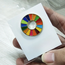 Sustainable Development Goals Brooch United Nations SDGs Pin Badge Fashion Rainbow Pins For Women Men M17