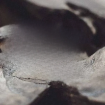 Onlysda Christmas 2020 Charm Halloween Octopus Skull Punk Stainless Steel Seaman Rings Men Anel Puck Jewelry Gift for Sailor