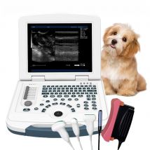 Portable Veterinary Ultrasound Scanner 12.1inch Laptop Vet Pregnancy B-Ultra Machine B,B+B,4B,B+M,M for Home/Farm Animal Check