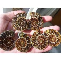 90g 3 pairs of Split Ammonite  Specimen Shell Healing Madagascar