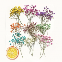 60pcs 5-10cm Dried Pressed Absorbed Gypsophila Flowers Plant Herbarium For Jewelry Photo Frame Phone Case Bookmark Craft DIY