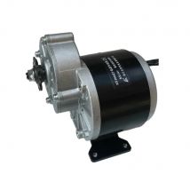 MY1016Z3  350W 24V / 36V  DC Brushed Gear Motor, Direct Current Permanent Magnet Brush Motor
