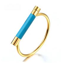 Can Changed For Different Color Resin Shackle Screw Bracelet DIY Stainless Steel Bracelets For Women And Men Bracelets & Bangles