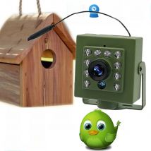 Green Wifi Bird Box Camera Audio 1920P 1080P IR CUT Night Vision RTSP FTP Mini IP IPC Pet Nest Bird Watching 2.8mm lens Camhi