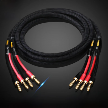 A pair HIFI speaker cable pure copper with silver-plated nerve cable main speaker surround sound connection dedicated cable