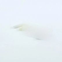 1 Piece GuitarFamily Tremolo Arm Tip Whammy Bar Tip For Electric Guitars  Made In Korea