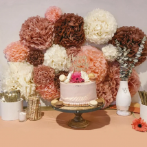 Set Hanging flower pompom Tissue Paper Pom Poms for Weddings and Other Special Occasions Party Birthday Baby Shower Christmas